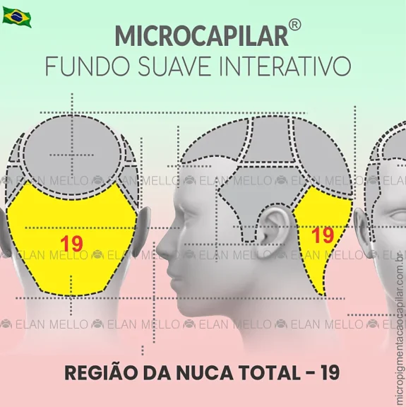 Região da Nuca Total - n.º 19 - Microcapilar® Fundo Suave Interativo®